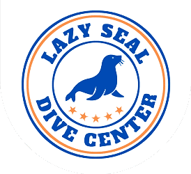 Lazy Seal Diving profesyonel, kaliteli ve kişiselleştirilmiş eğitim sunmayı ilke edinmiş bir tüplü dalış (scuba) merkezidir. İstanbul tüplü dalış eğitimi merkezi