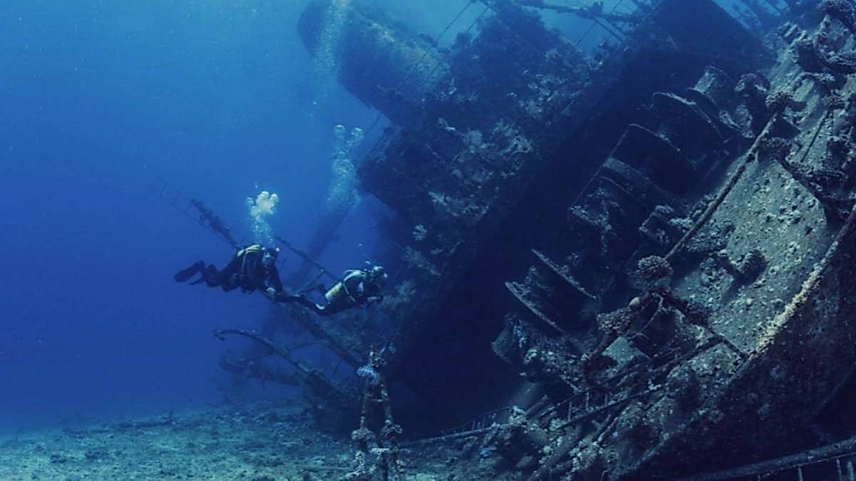 Lazy Seal Diving profesyonel, kaliteli ve kişiselleştirilmiş eğitim sunmayı ilke edinmiş bir tüplü dalış (scuba) merkezidir. İstanbul tüplü dalış eğitimi merkezi