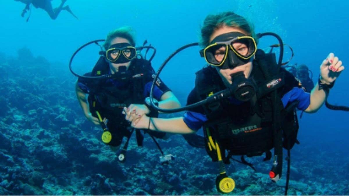 Lazy Seal Diving profesyonel, kaliteli ve kişiselleştirilmiş eğitim sunmayı ilke edinmiş bir tüplü dalış (scuba) merkezidir. İstanbul tüplü dalış eğitimi merkezi