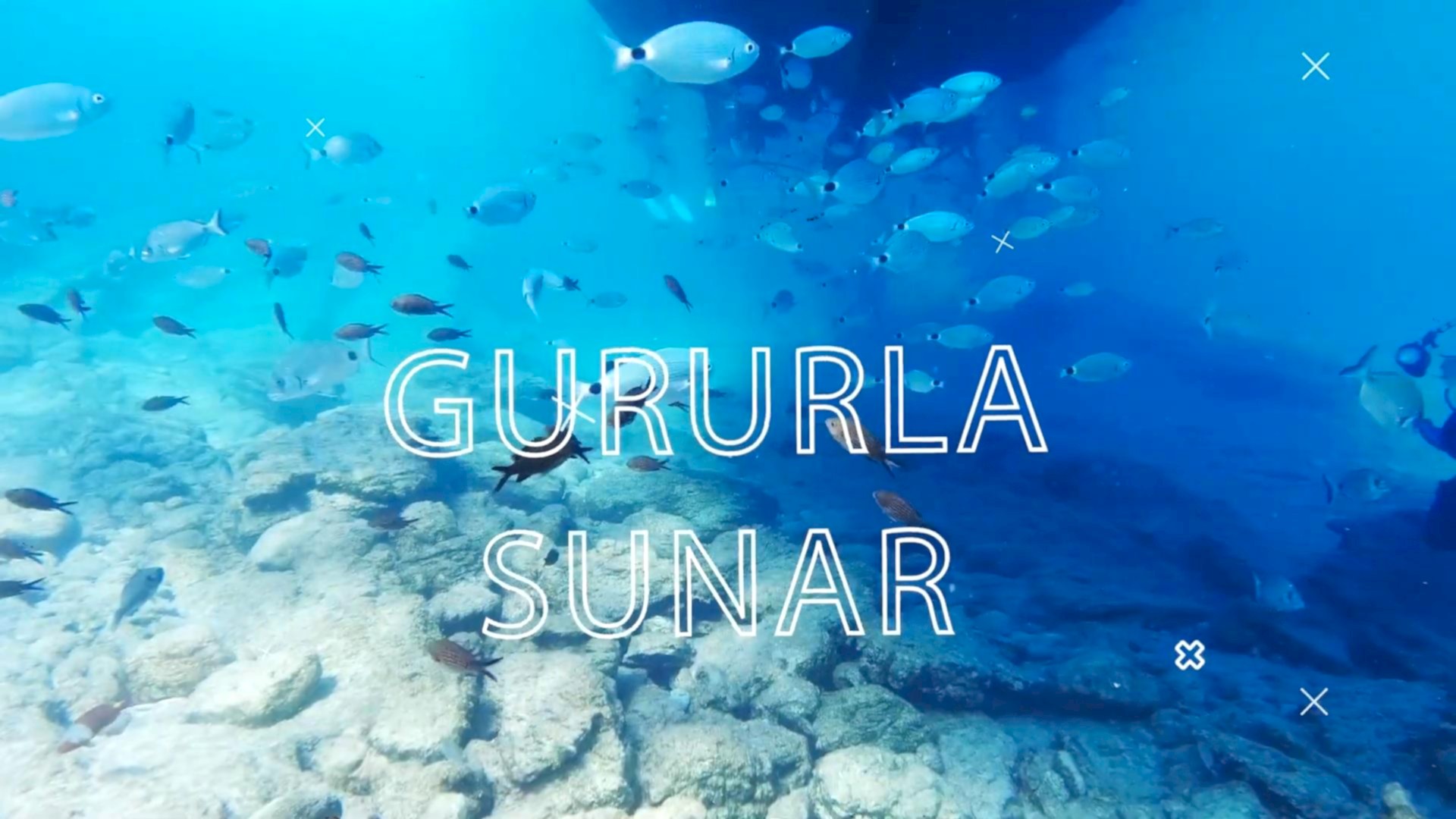 Lazy Seal Diving profesyonel, kaliteli ve kişiselleştirilmiş eğitim sunmayı ilke edinmiş bir tüplü dalış (scuba) merkezidir. İstanbul tüplü dalış eğitimi merkezi