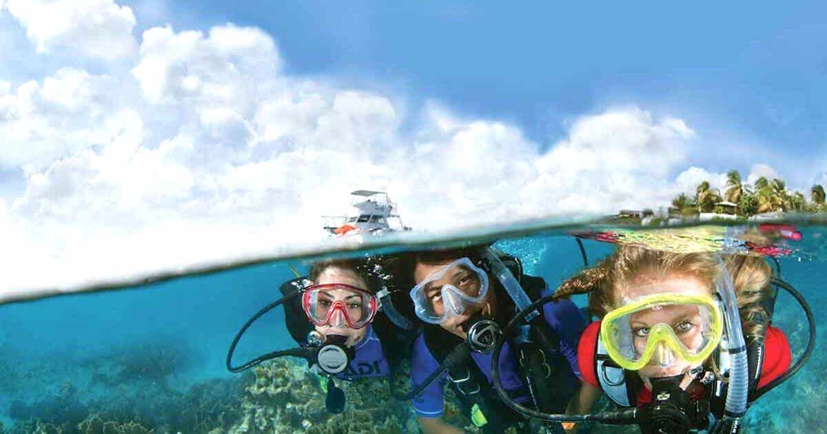Lazy Seal Diving profesyonel, kaliteli ve kişiselleştirilmiş eğitim sunmayı ilke edinmiş bir tüplü dalış (scuba) merkezidir. İstanbul tüplü dalış eğitimi merkezi