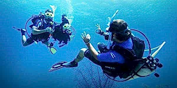 Lazy Seal Diving profesyonel, kaliteli ve kişiselleştirilmiş eğitim sunmayı ilke edinmiş bir tüplü dalış (scuba) merkezidir. İstanbul tüplü dalış eğitimi merkezi