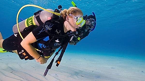 Lazy Seal Diving profesyonel, kaliteli ve kişiselleştirilmiş eğitim sunmayı ilke edinmiş bir tüplü dalış (scuba) merkezidir. İstanbul tüplü dalış eğitimi merkezi