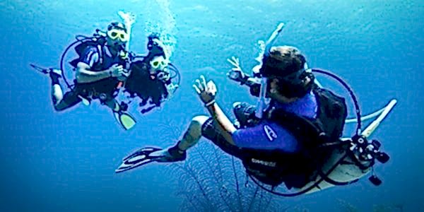 Lazy Seal Diving profesyonel, kaliteli ve kişiselleştirilmiş eğitim sunmayı ilke edinmiş bir tüplü dalış (scuba) merkezidir. İstanbul tüplü dalış eğitimi merkezi