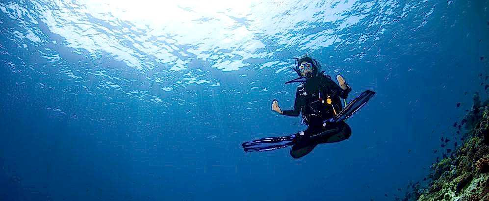 Lazy Seal Diving profesyonel, kaliteli ve kişiselleştirilmiş eğitim sunmayı ilke edinmiş bir tüplü dalış (scuba) merkezidir. İstanbul tüplü dalış eğitimi merkezi