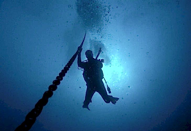 Lazy Seal Diving profesyonel, kaliteli ve kişiselleştirilmiş eğitim sunmayı ilke edinmiş bir tüplü dalış (scuba) merkezidir. İstanbul tüplü dalış eğitimi merkezi