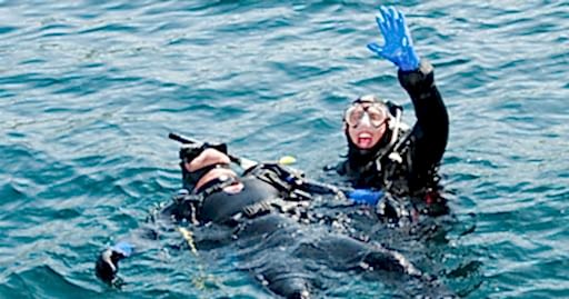 Lazy Seal Diving profesyonel, kaliteli ve kişiselleştirilmiş eğitim sunmayı ilke edinmiş bir tüplü dalış (scuba) merkezidir. İstanbul tüplü dalış eğitimi merkezi
