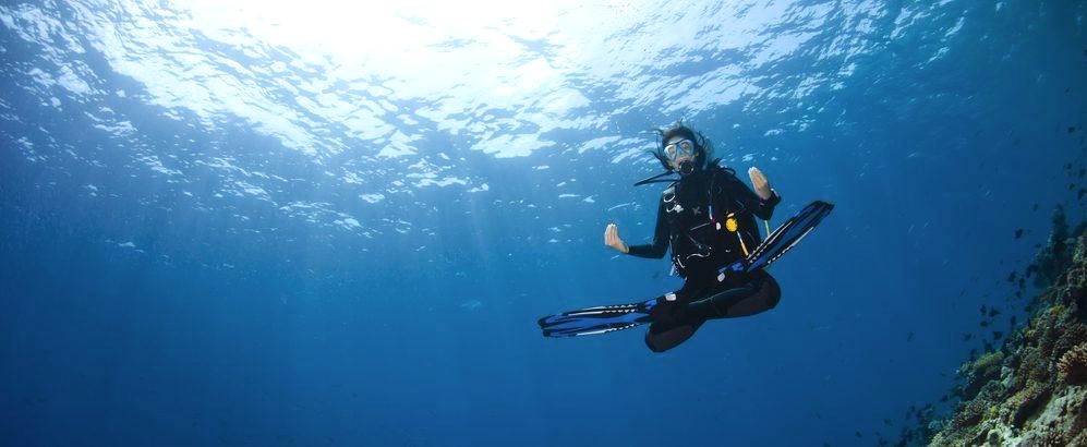 Lazy Seal Diving profesyonel, kaliteli ve kişiselleştirilmiş eğitim sunmayı ilke edinmiş bir tüplü dalış (scuba) merkezidir. İstanbul tüplü dalış eğitimi merkezi
