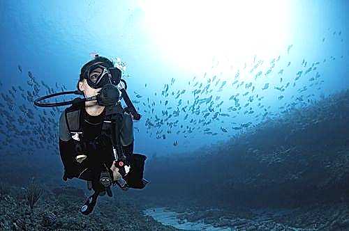 Lazy Seal Diving profesyonel, kaliteli ve kişiselleştirilmiş eğitim sunmayı ilke edinmiş bir tüplü dalış (scuba) merkezidir. İstanbul tüplü dalış eğitimi merkezi